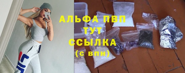 прущие грибы Навашино