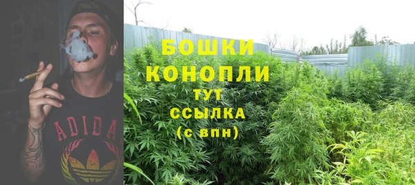 spice Надым