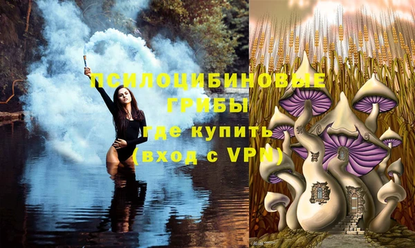 прущие грибы Навашино
