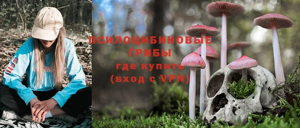 spice Бердск