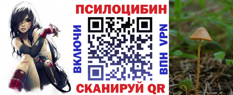 Псилоцибиновые грибы ЛСД  как найти   Елец 