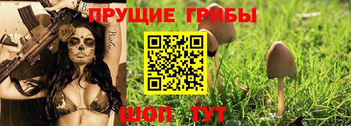 Галлюциногенные грибы Cubensis  Вход с VPN  Елец 