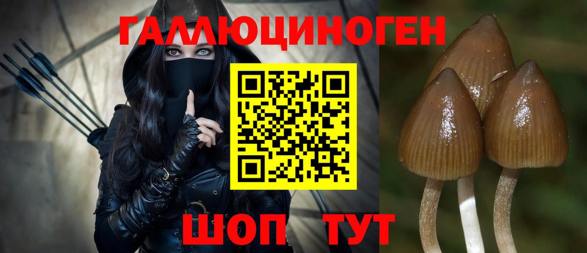 Галлюциногенные грибы Magic Shrooms Елец